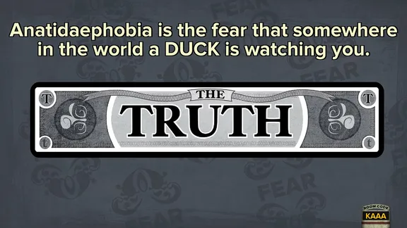Fibbage XL screenshot 5