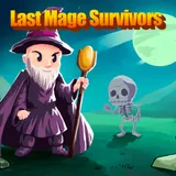 Last Mage Survivors icon