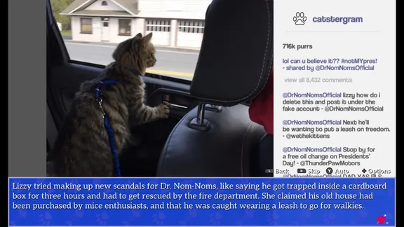Cat President: A More Purrfect Union screenshot 3