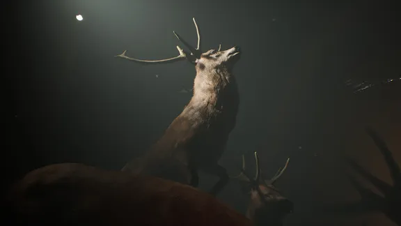 Project 13: Taxidermy Trails screenshot 6