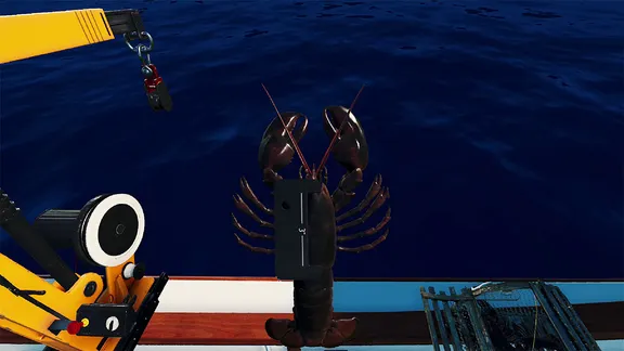 Fishing: North Atlantic screenshot 4
