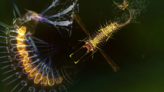 Sparkle 2 EVO screenshot 3