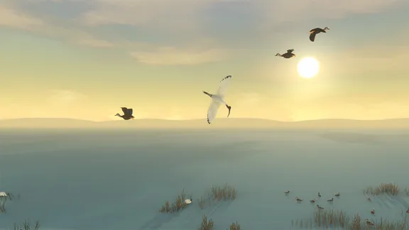 Storm Boy screenshot 3