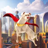 DC League of Super-Pets: The Adventures of Krypto and Ace icon