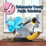 Salamander County Public Television icon