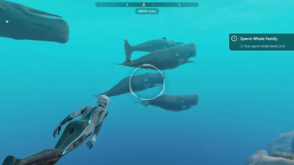 Beyond Blue screenshot 3