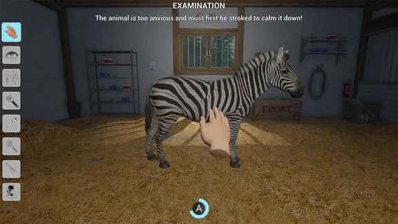 My Life: Zoo Vet screenshot 3